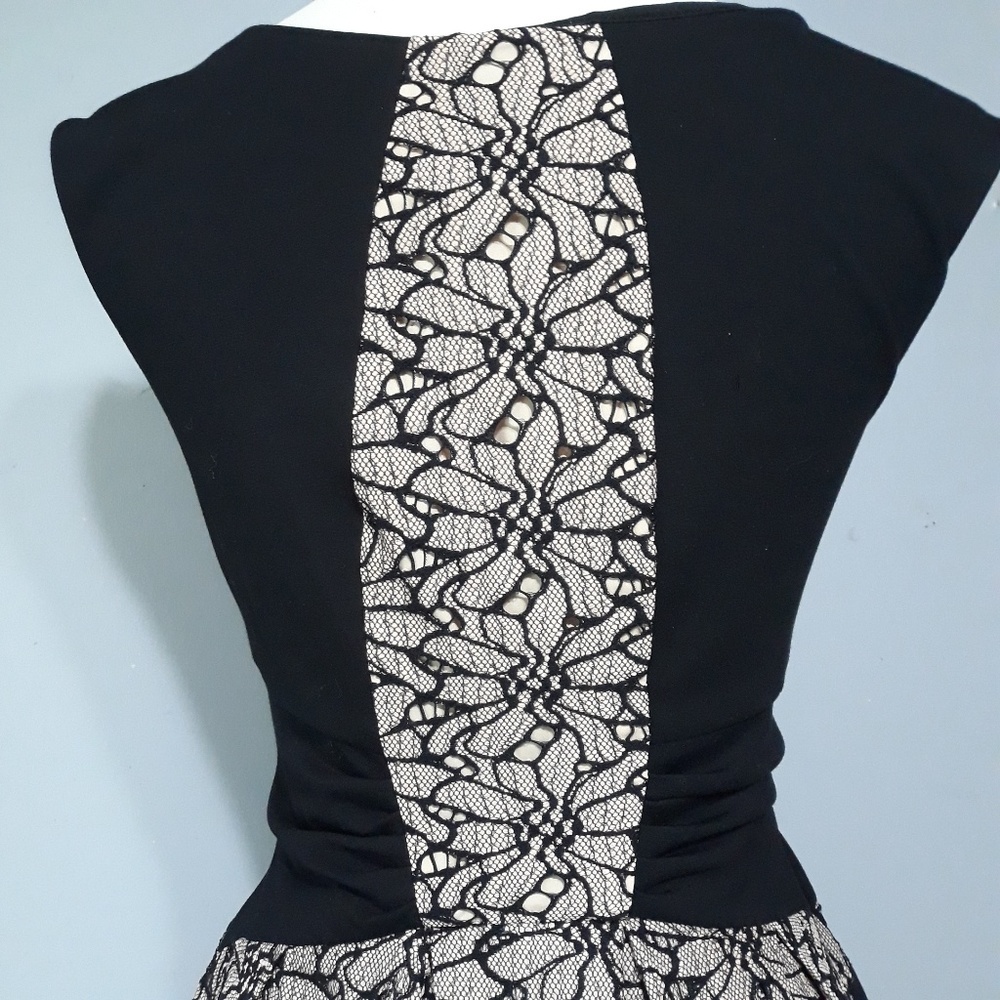 ANTHROPOLOGIE /EVA FRANCO LACED STRATA DRESS-Sz 4 - Picture 5 of 8